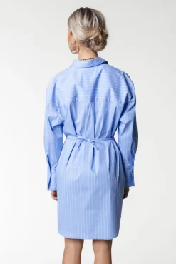 Brienna Striped Blouse Dress | Blue