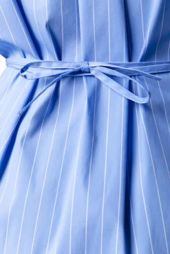 Brienna Striped Blouse Dress | Blue