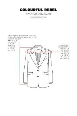 Jesra Stripe Blazer | Dark grey