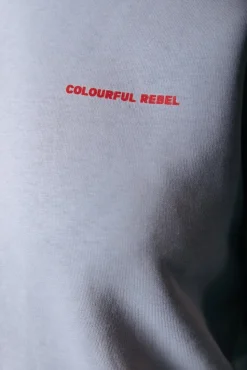 World Tour Hoodie | Light grey